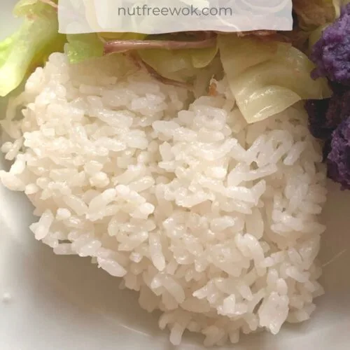 close up of a scoop of rice