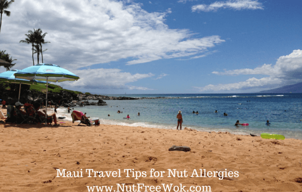 maui beach photo on a sunny day