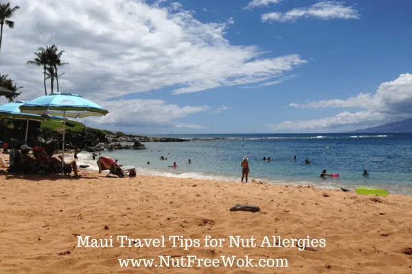 maui beach photo on a sunny day