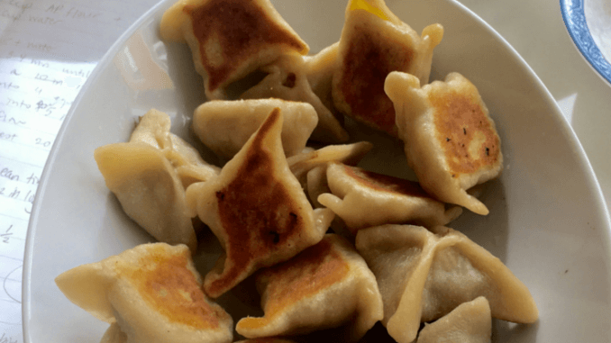 pan fried chicken potstickers in an oval plate