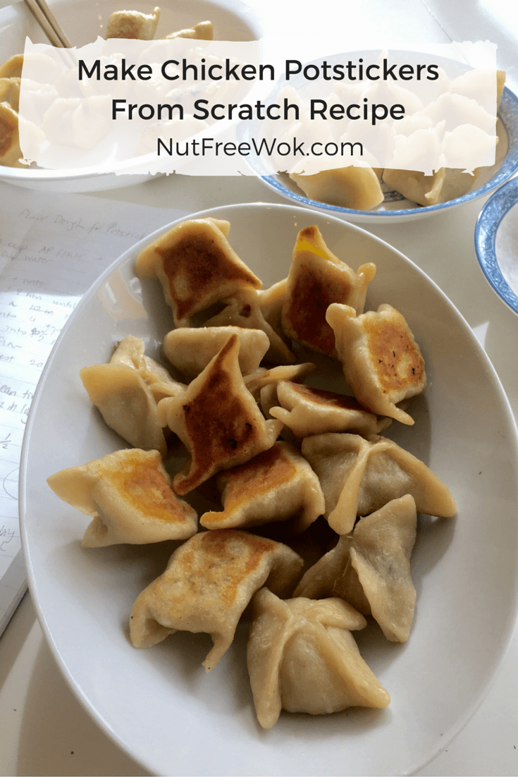 Make Chicken Potstickers From Scratch Recipe