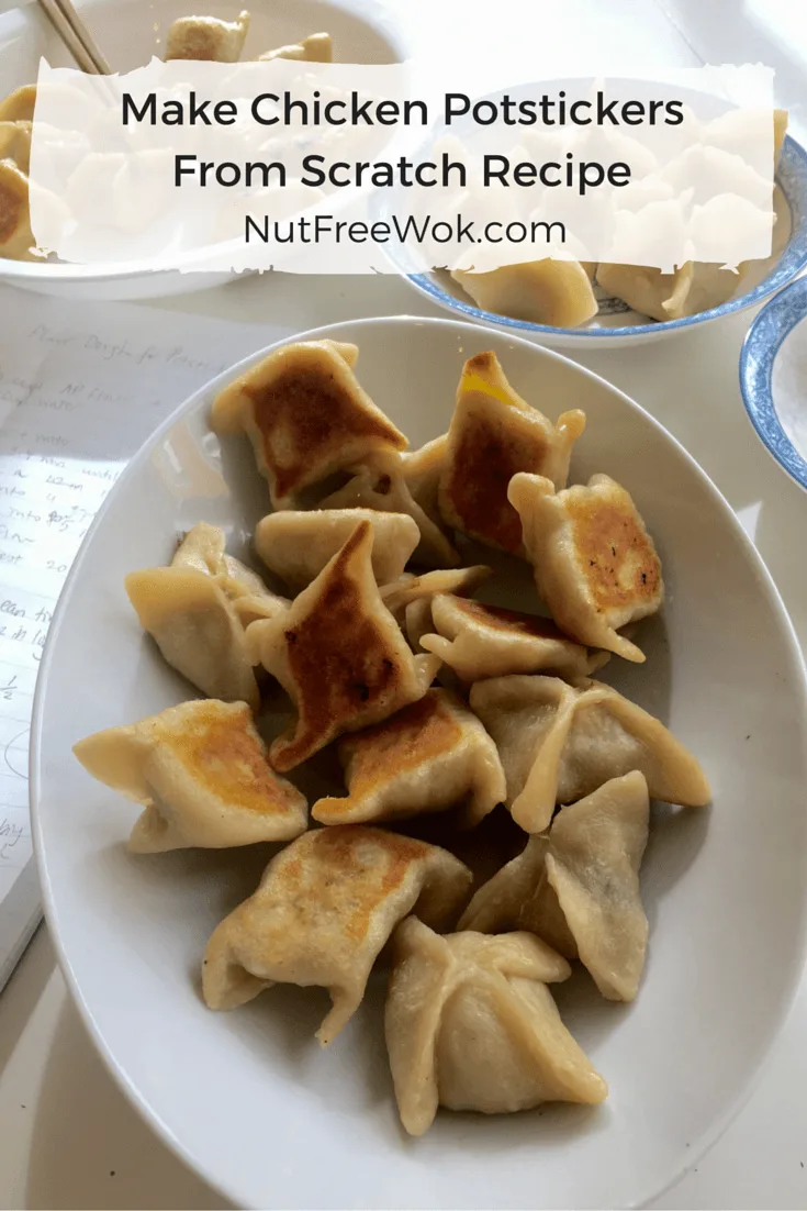 pan fried chicken potstickers in an oval plate