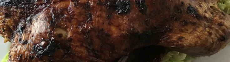 close up of a roast duck