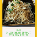 easy mung bean sprout in a brown square bowl