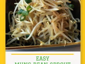 easy mung bean sprout in a brown square bowl