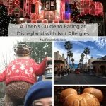 collage of Disneyland photos