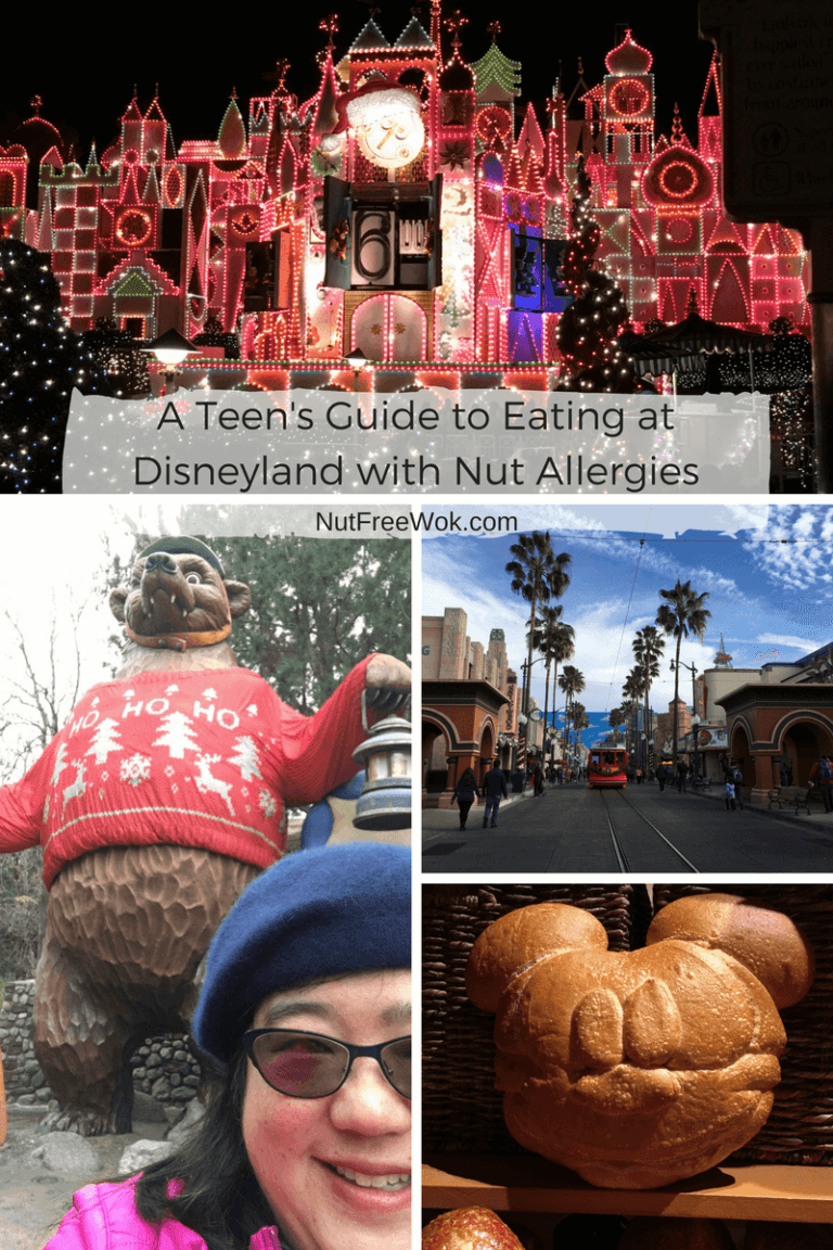 collage of Disneyland photos