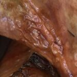 close up of roasted turkey drumsticks