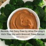 nut free rich thai dip with broccoli trees made with sunflower seed butter