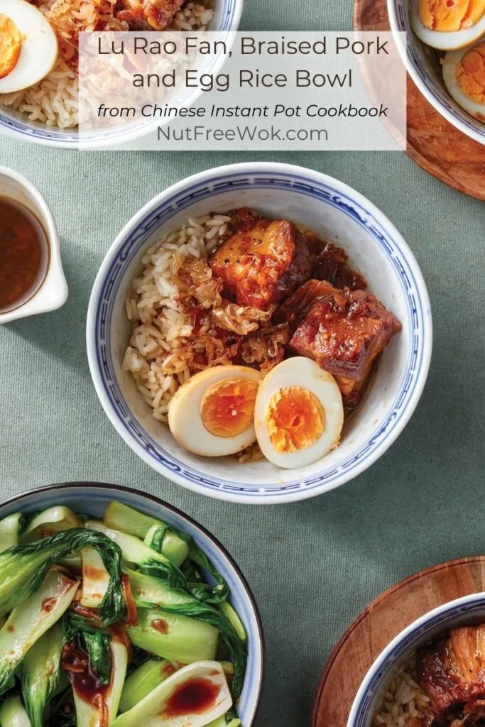 lu rao fan, braised pork and egg rice bowl with baby bok choy on the side