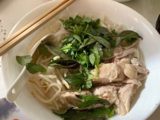 Close up of chicken, herbs, chicken broth, and rice noodles in a white bowl