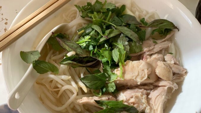 Close up of chicken, herbs, chicken broth, and rice noodles in a white bowl