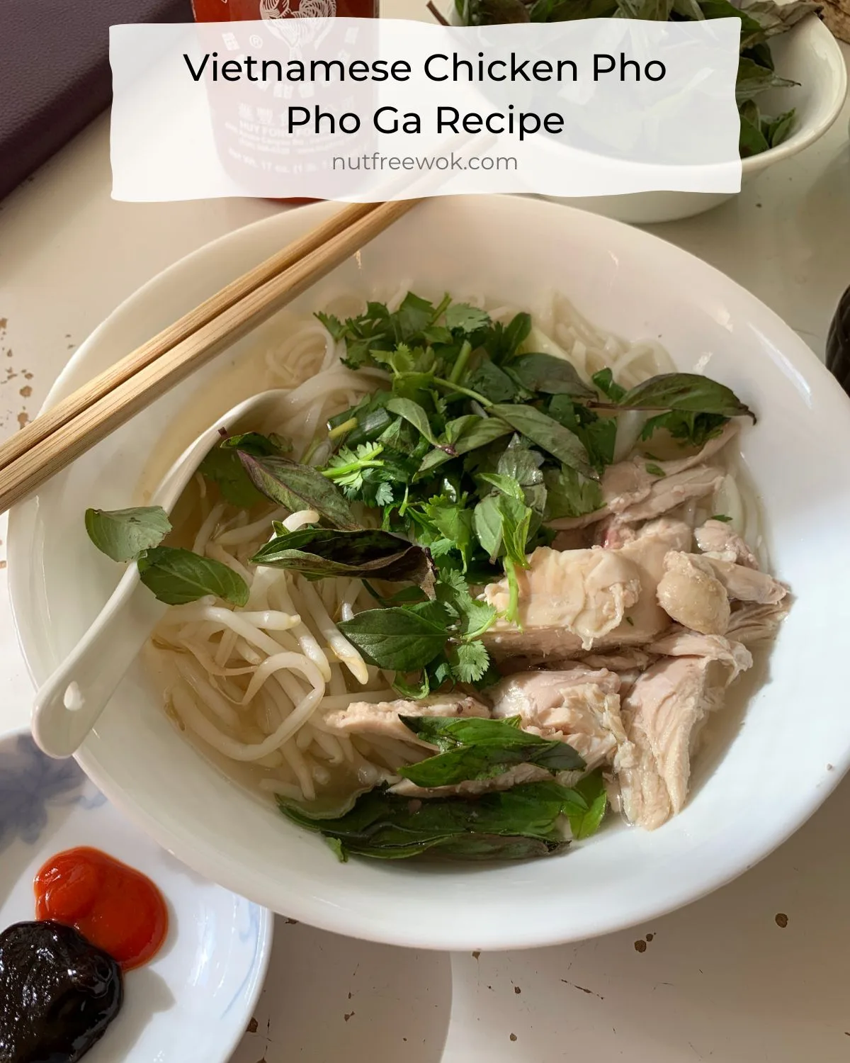 Close up of chicken, herbs, chicken broth, and rice noodles in a white bowl