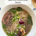 close up of a large bowl of Vietnamese style beef pho with rare beef, bean sprouts, red onions, scallions, rice noodles, and cooked beef.