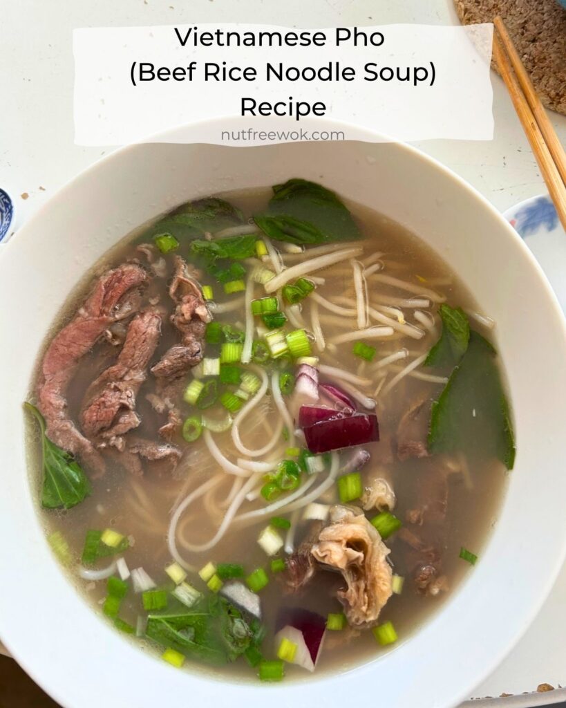 close up of a large bowl of Vietnamese style beef pho with rare beef, bean sprouts, red onions, scallions, rice noodles, and cooked beef.