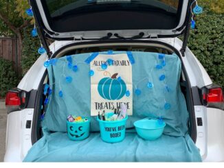 12 Unique Non-Food Items for Teal Pumpkin Project