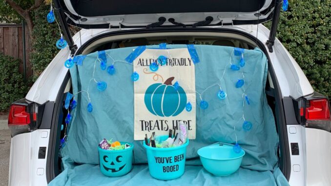 12 Unique Non-Food Items for Teal Pumpkin Project