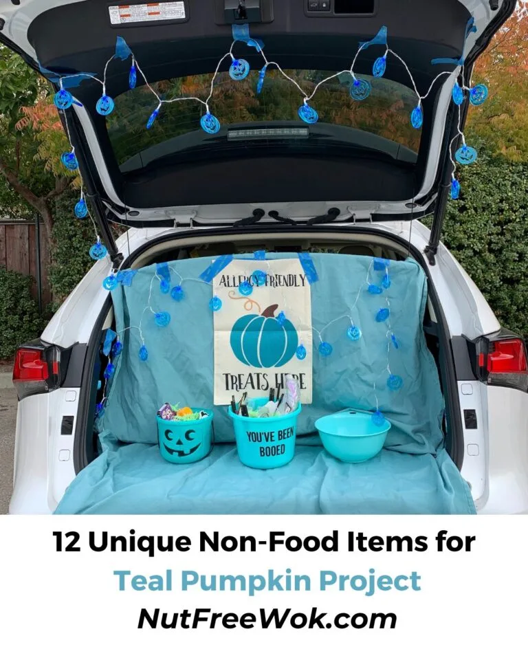 12 Unique Non-Food Items for Teal Pumpkin Project