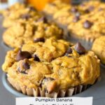 close up of pumpkin banana chocolate chip muffins in a baking tray