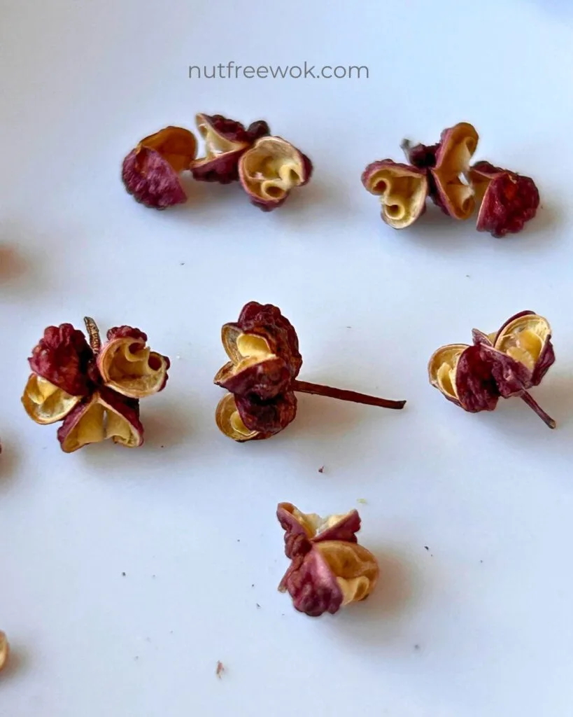 Close up of whole Sichuan peppers, which are red flower husks with a bumpy texture.