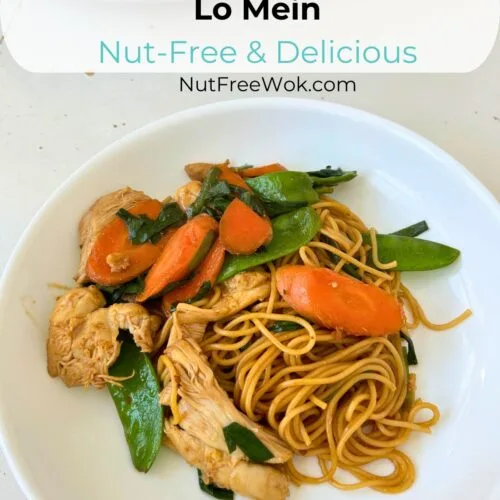 chicken and vegetables lo mein in a white plate