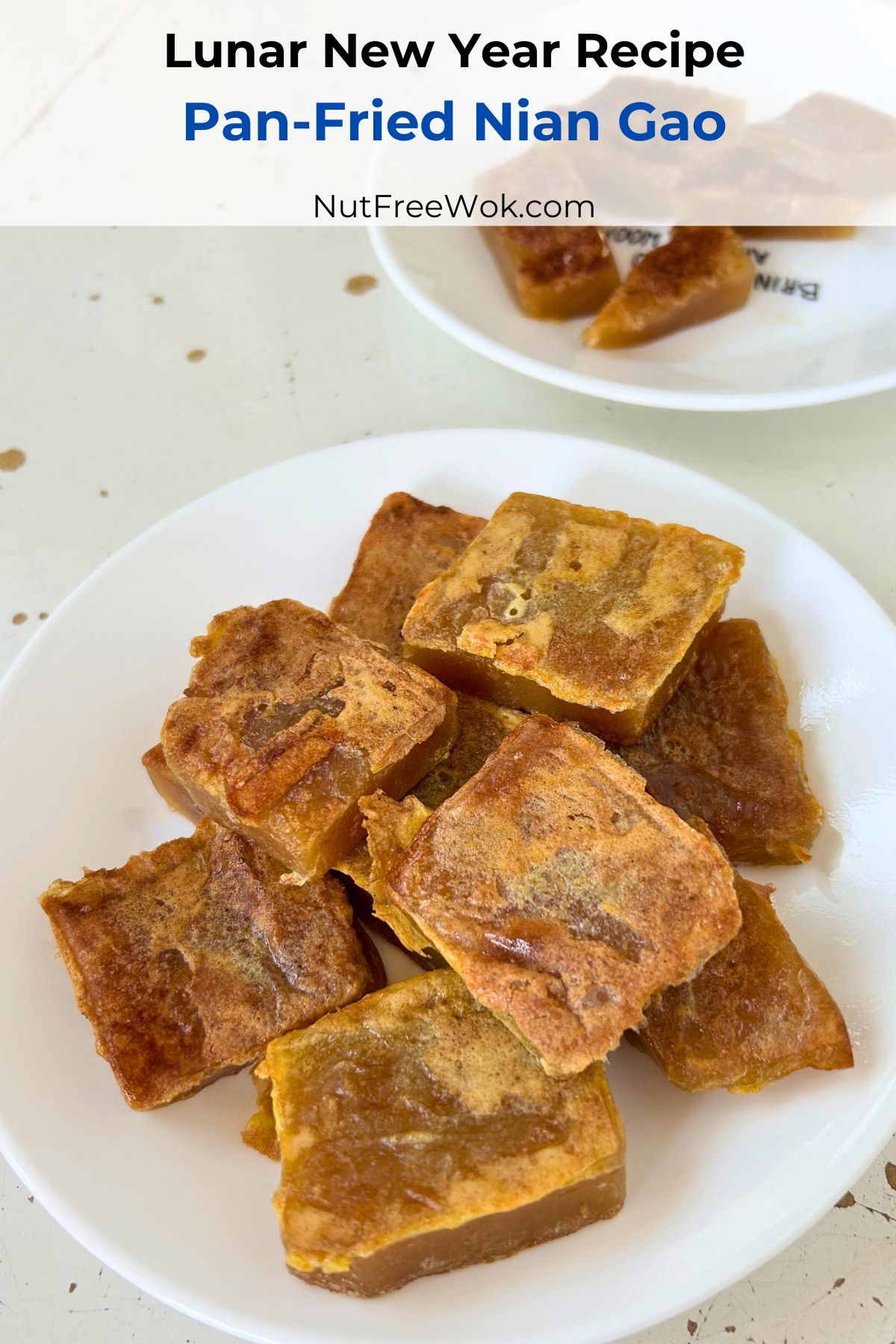 Pan fried nian gao on a round white plate