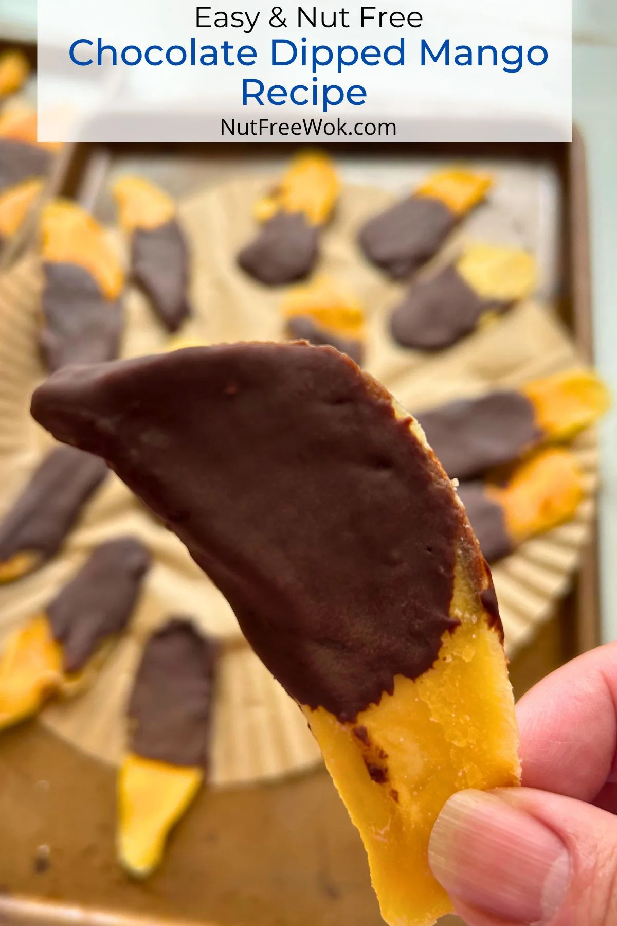 close up of chocolate dipped mango
